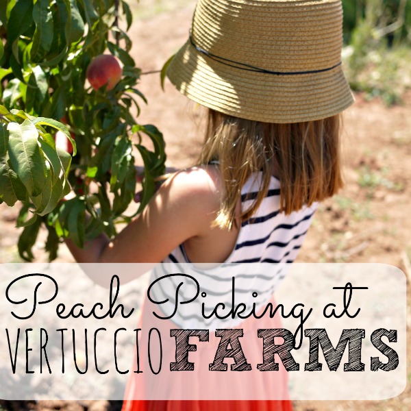 Peach and Play at Vertuccio Farms