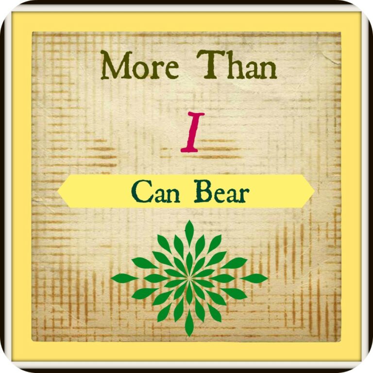 More Than I Can Bear