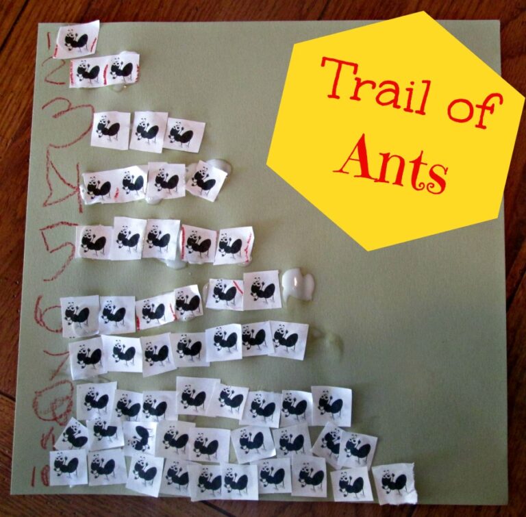 Trail of Ants: Number Correspondence