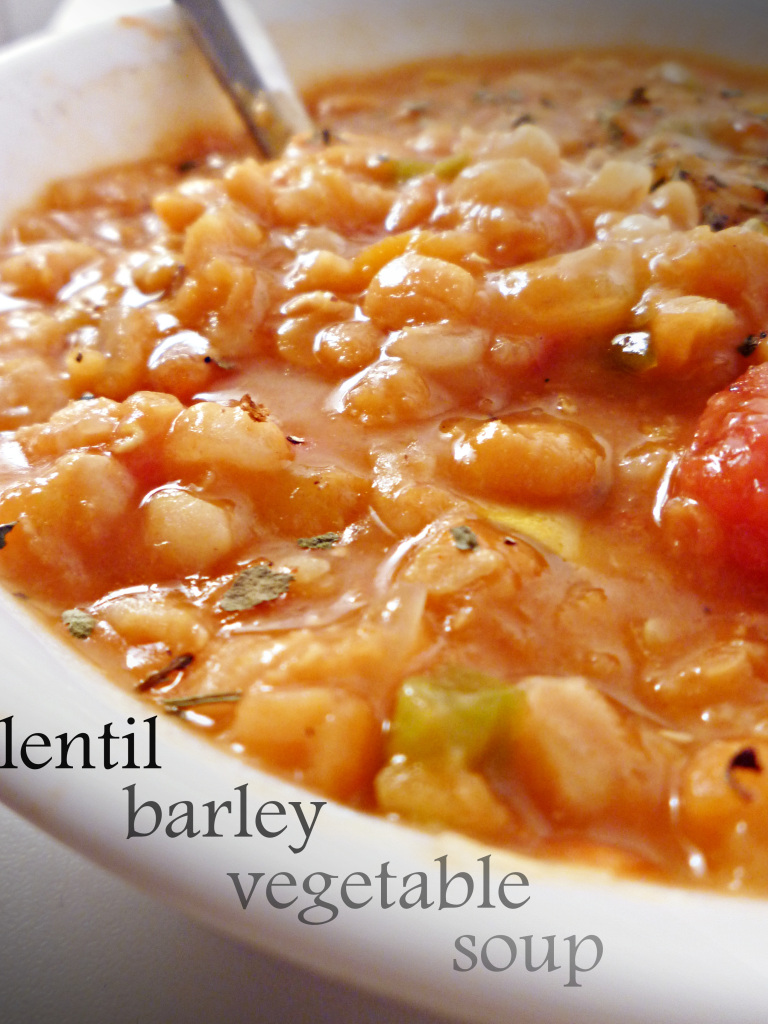 tea-veggie-lentil-barley-soup-091