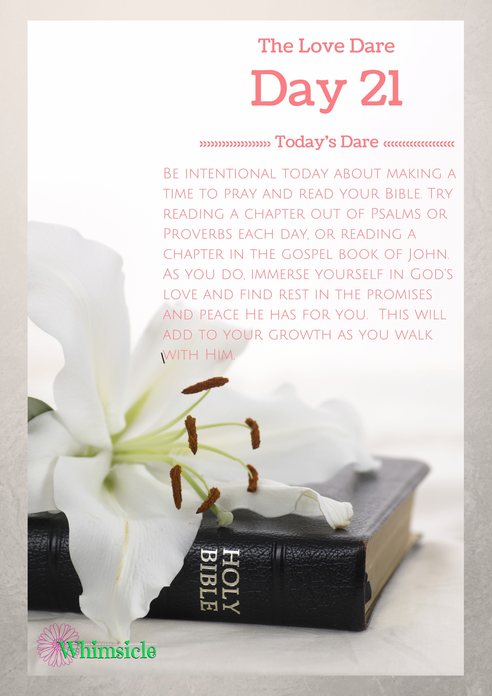 LoveDare love dare- day 21 - no guilt mom