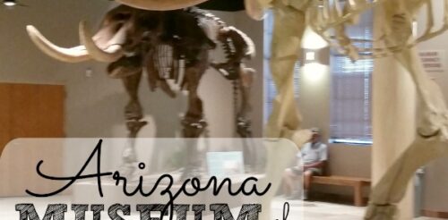 Dinosaurs, panning for gold and a real prison! The Arizona Museum of Natural History in Mesa was so much fun. This post gives you tips on what to expect, how to prepare and what to do about food.