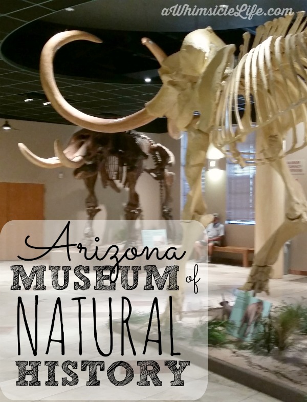 Arizona Museum of Natural History