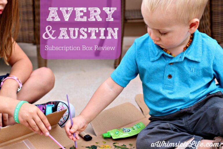 Avery & Austin Playdate Box