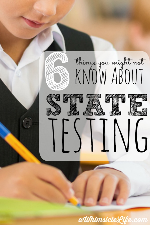 6 Things You Might Not Know about State Testing