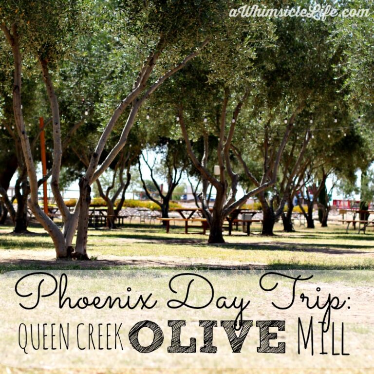 Queen Creek Olive Mill