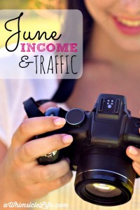 A beginning blogger's candid report about income and how to grow traffic. This month is all about Pinterest and how I increased my referrals from 12 a day to 170!