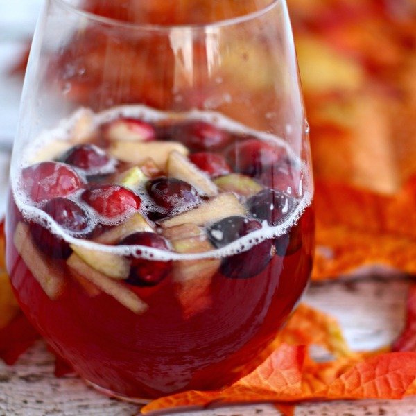 Cranberry Vanilla Autumn Punch