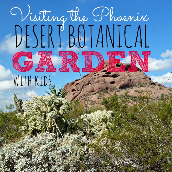 Desert Botanical Garden