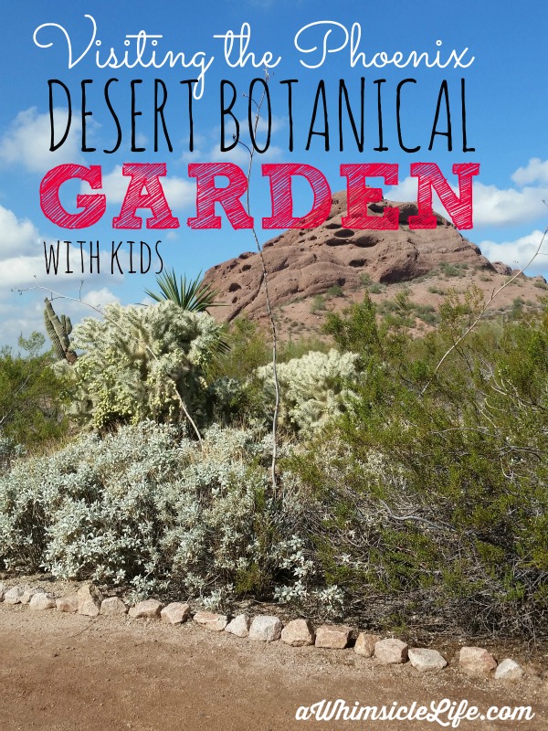 Desert Botanical Garden Family Activities In Phoenix