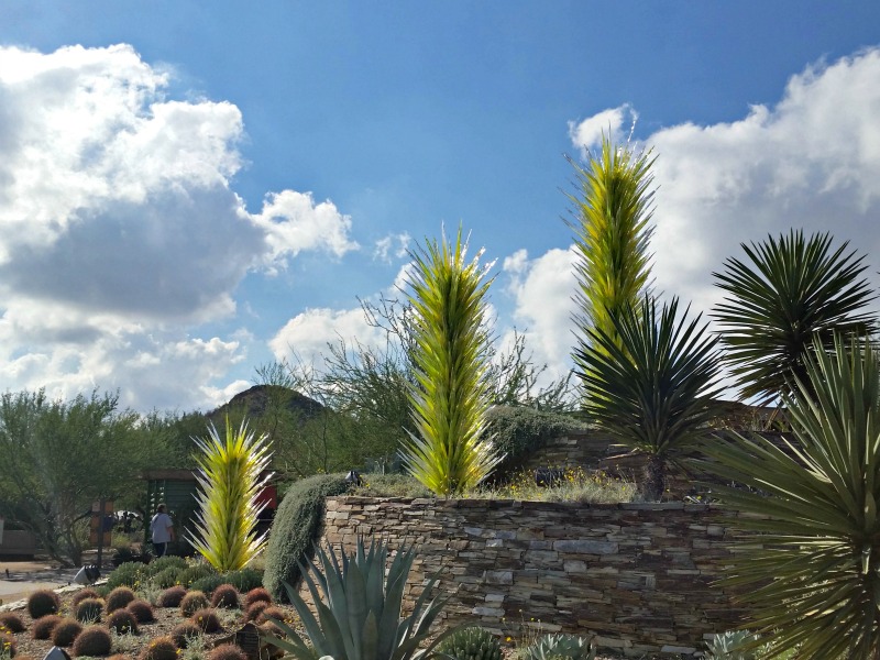 Desert Botanical Garden Family Activities In Phoenix