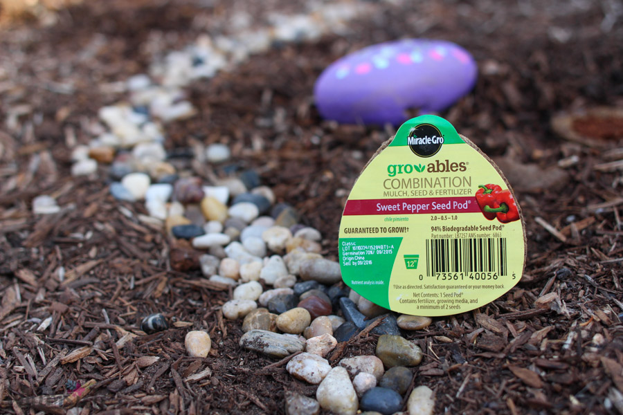 Do you have a picky eater in your family? Make a fairy veggie garden the easy way! What kid can resist eating food they grow and tended over by fairies? 