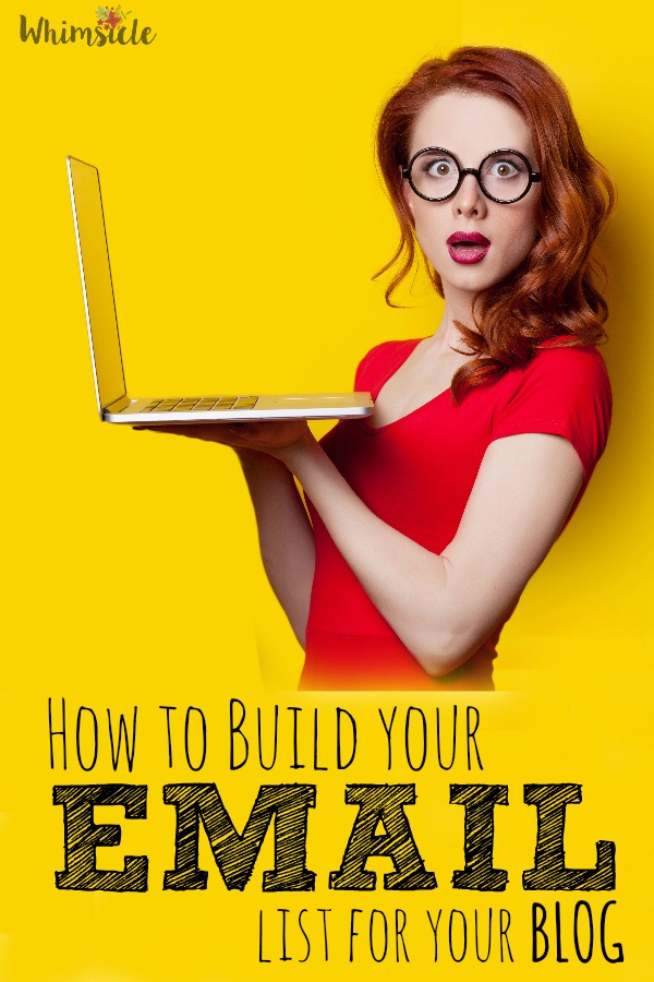 Wondering how all the big blog get thousands of email followers? This explains how to start out. 