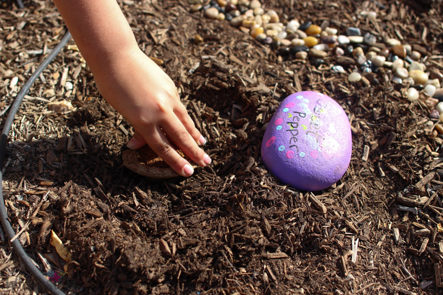 Do you have a picky eater in your family? Make a fairy veggie garden the easy way! What kid can resist eating food they grow and tended over by fairies? 