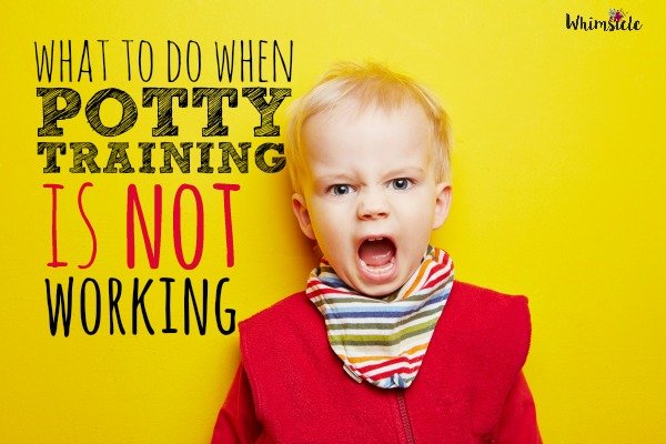 Potty Training Not Working