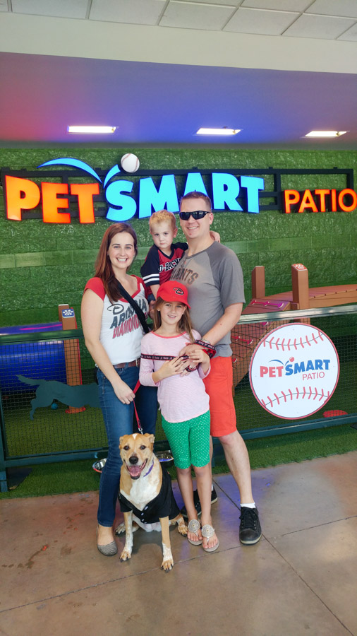Want to take your dog to a baseball game? You can during the Dog Days of Summer at Chase Field. Click to see exactly what the experience is like and what's included. [ad]