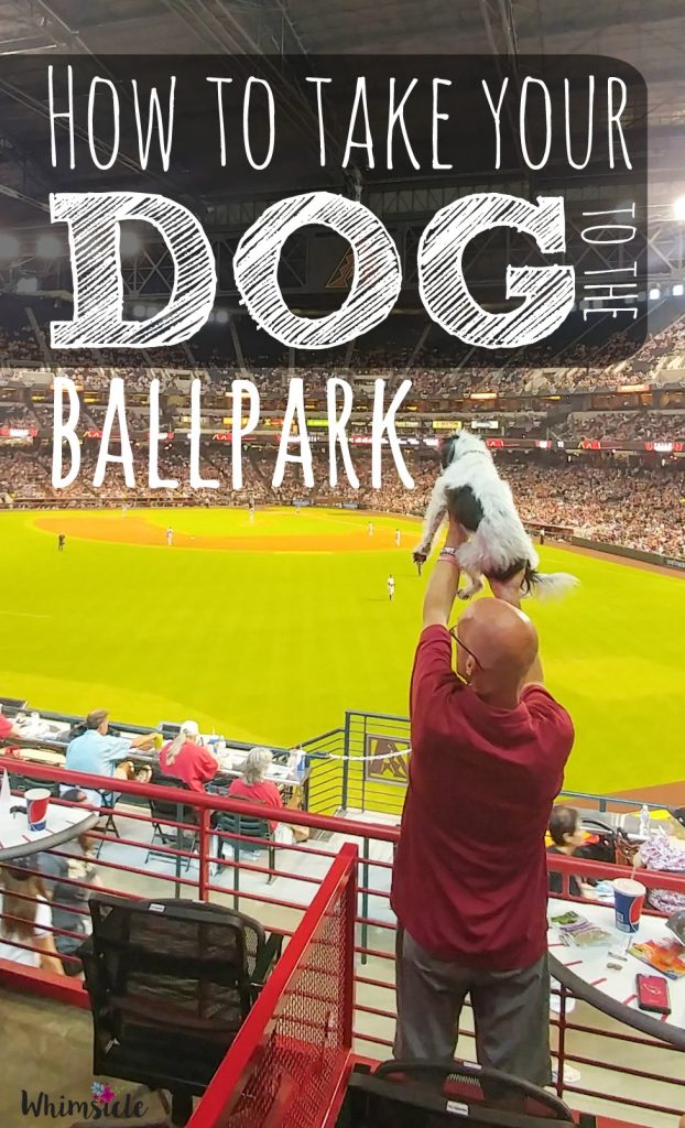 Want to take your dog to a baseball game? You can during the Dog Days of Summer at Chase Field. Click to see exactly what the experience is like and what's included. [ad]