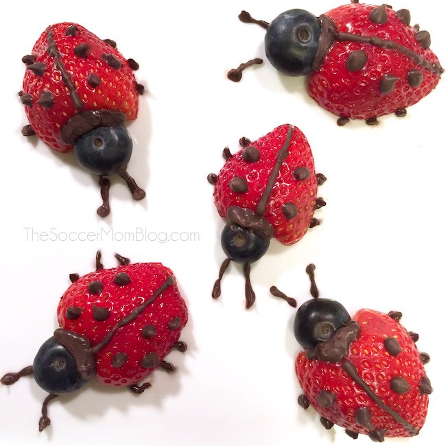 Strawberry-Chocolate-Fruit-Ladybugs-S