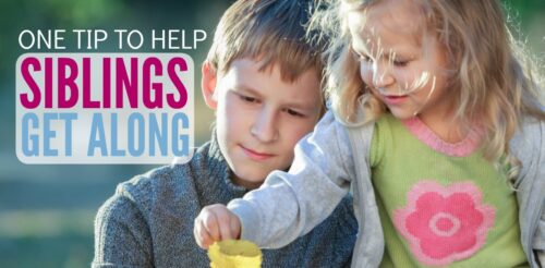 Wondering how to make siblings get along? Whoa! I am so glad I read this! Of all the ideas to encourage sibling relationships, this one simple tip will rock your world! Building sibling relationships means taking down all the barriers to them being friends.