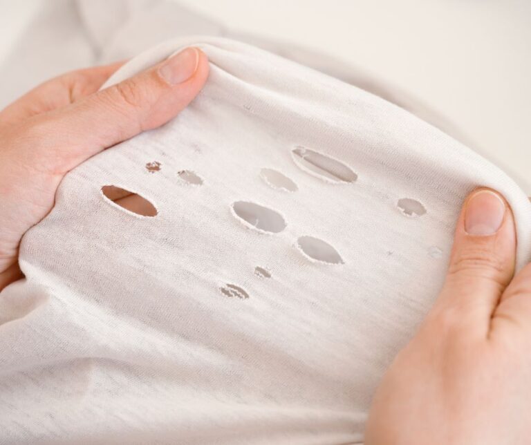 Podcast Episode 279: Why Do We Have Holes in Our Undies?